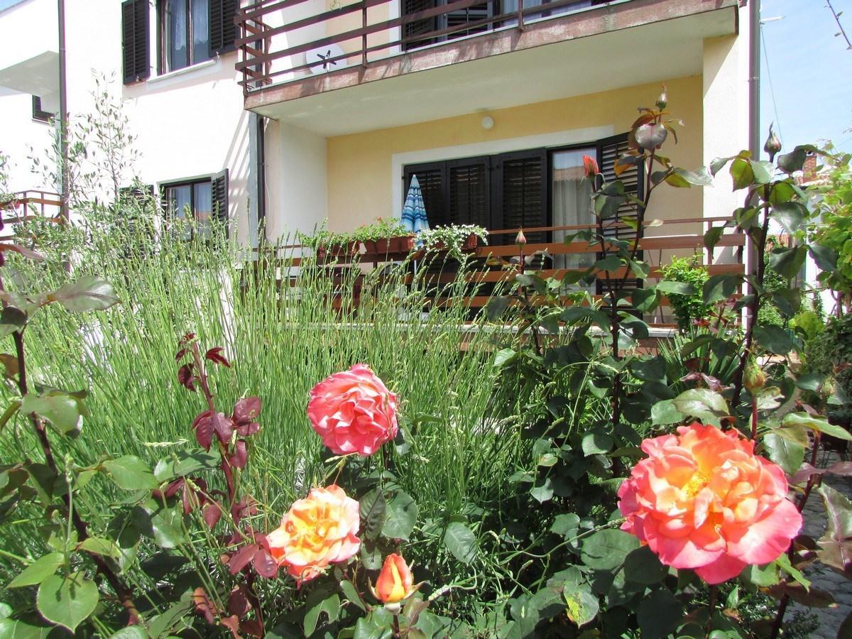 Mirela House With Apartment ウマグ エクステリア 写真